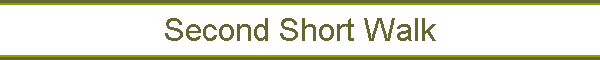 Second Short Walk